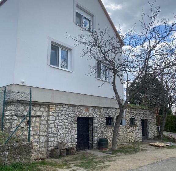 ペンション Ubytování Pod Mezu