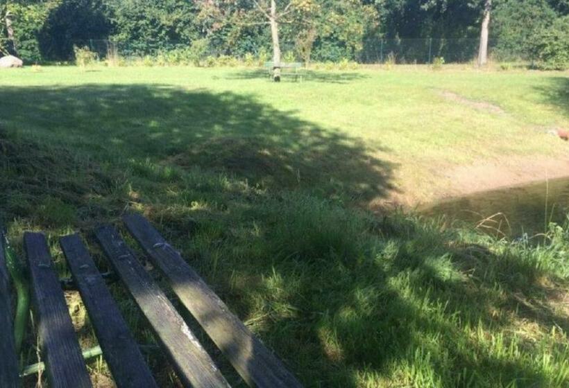 פנסיון Fewo S Runde Wiese Rw