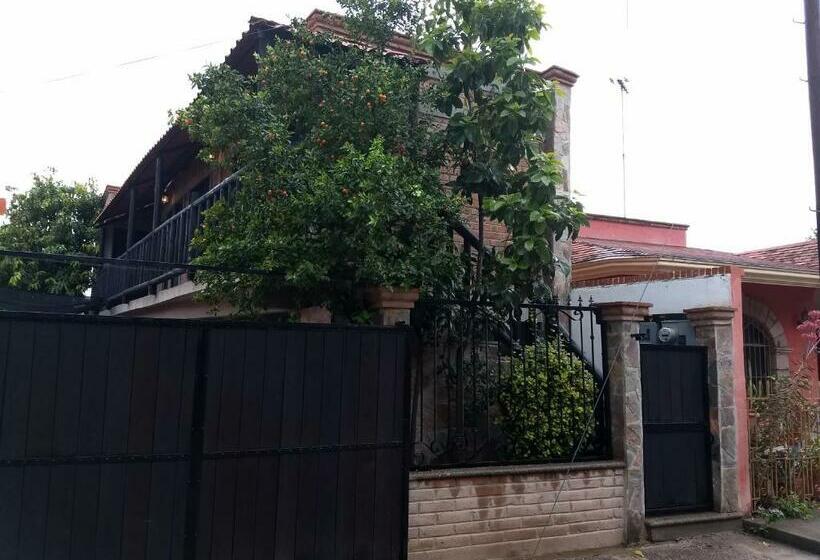 فندق صغير Posada Don Jose