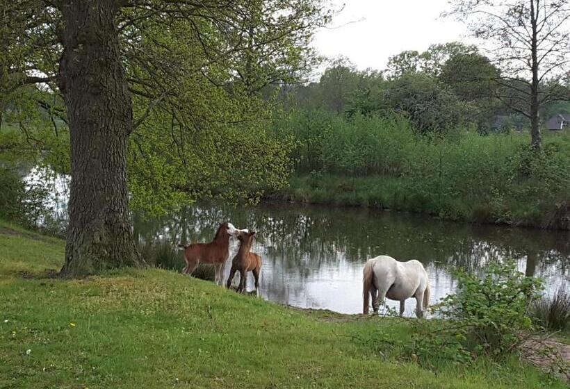 B&b In De Dorpsstraat
