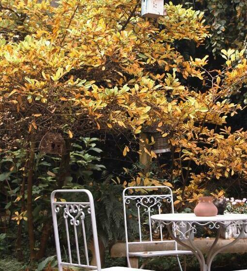 Bed and Breakfast Alle Fronde