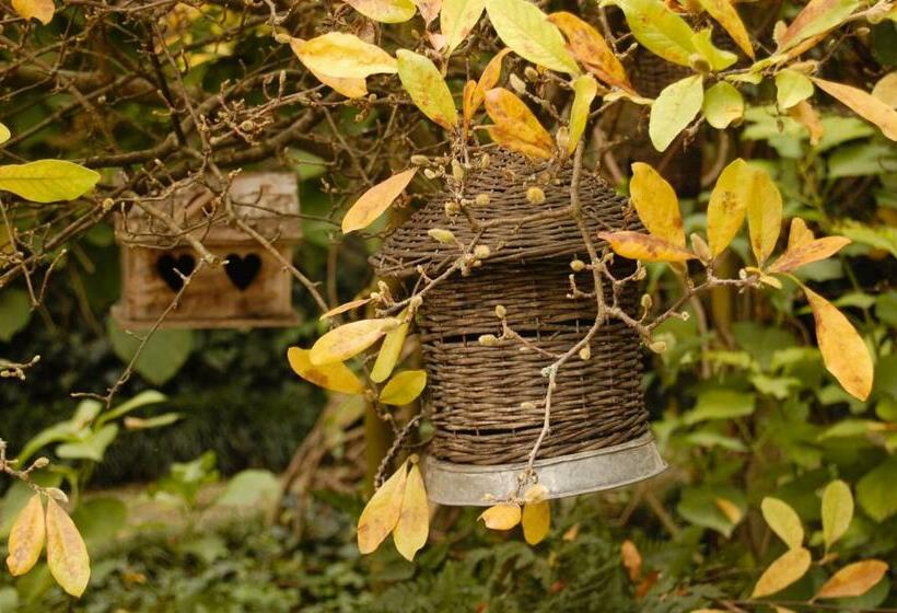 Bed and Breakfast Alle Fronde