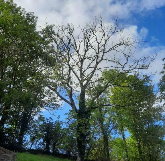 민박 Avou Nozôtes