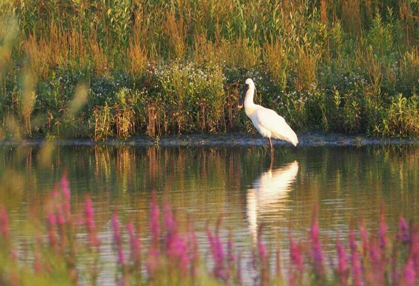 مبيت وإفطار Benb Zuidoord