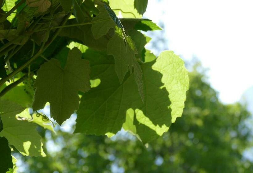 צימר Bnb Chantevent