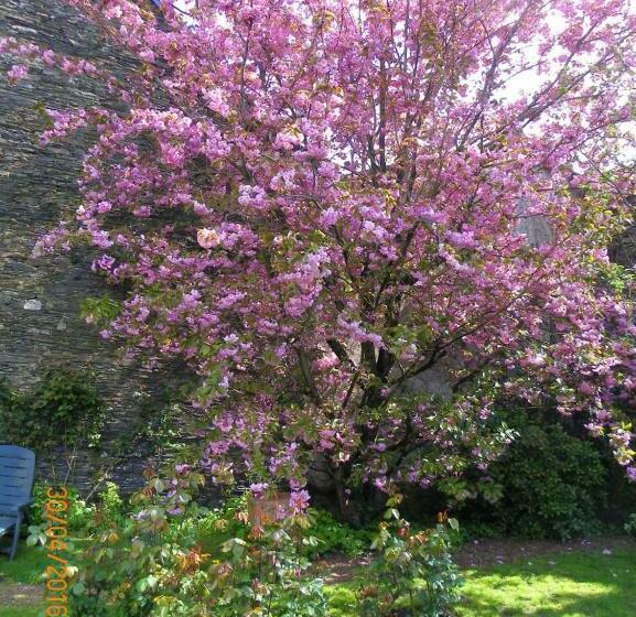 ベッドアンドブレックファースト Chambres D Hôtes Du Perray