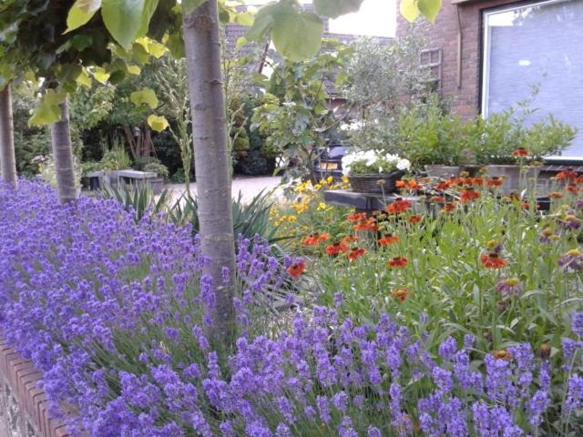 Bed And Breakfast De Verwennerij