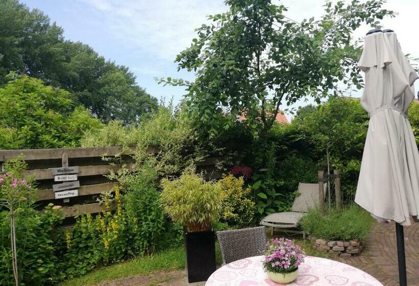 צימר De Zes Wielen