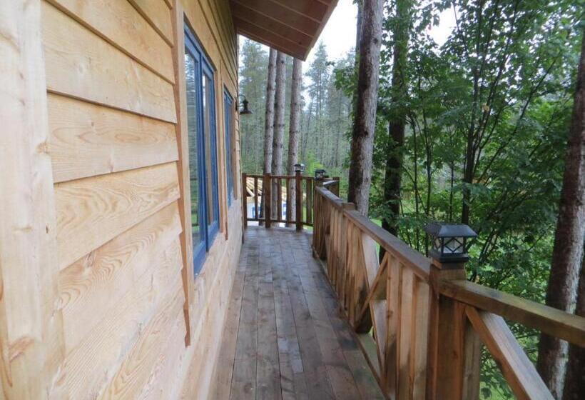 Bed and Breakfast La Maison Sous Les Arbres