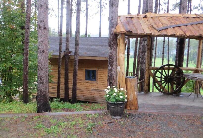 Bed and Breakfast La Maison Sous Les Arbres