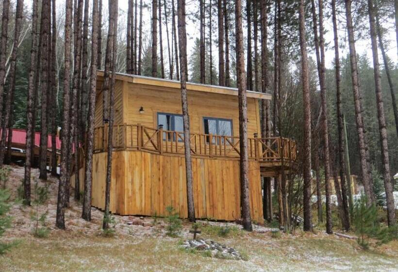 Bed and Breakfast La Maison Sous Les Arbres