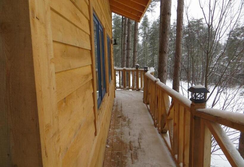 Bed and Breakfast La Maison Sous Les Arbres