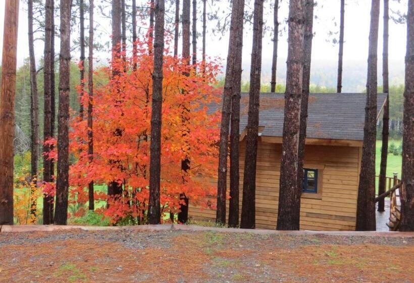 Bed and Breakfast La Maison Sous Les Arbres