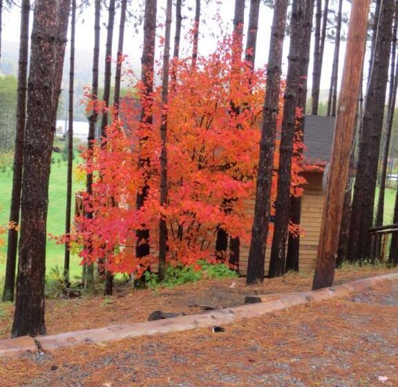Bed and Breakfast La Maison Sous Les Arbres