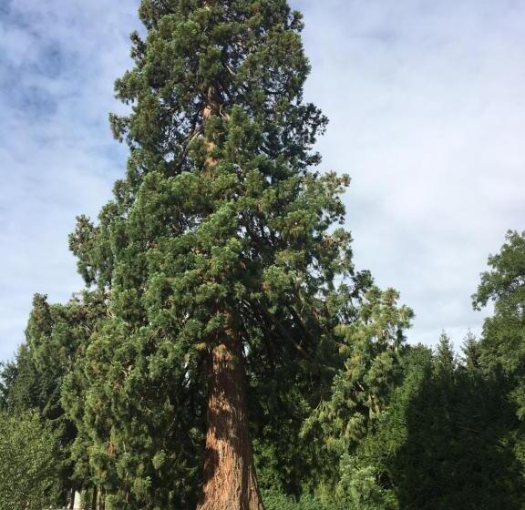 Bed and Breakfast Le Manoir Du Ribardon