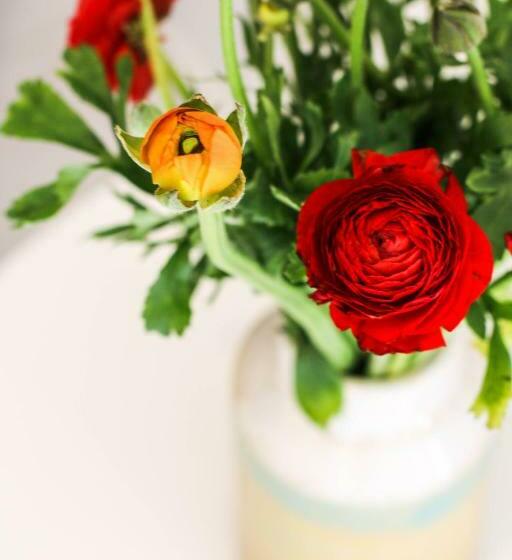 مبيت وإفطار Logement Nij Bonga Holwerd