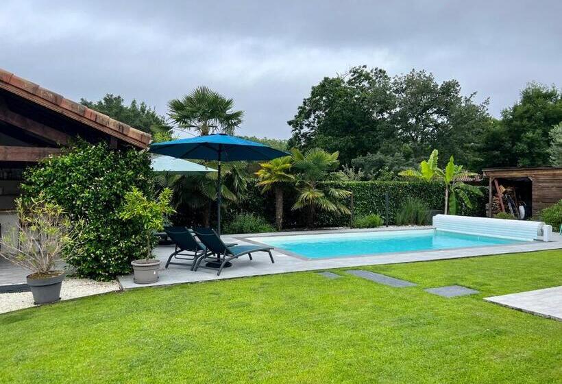 Bed and Breakfast O Pintxo