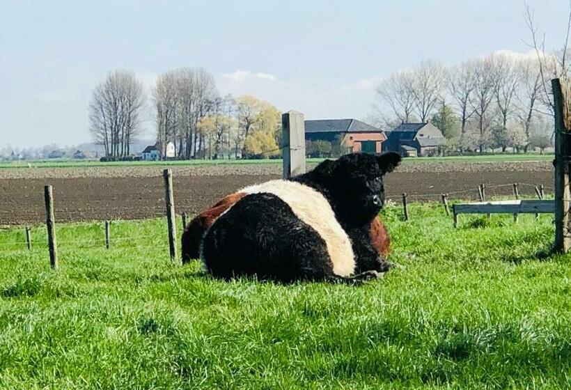 צימר Slapen Bij De Zeeuwse Lala
