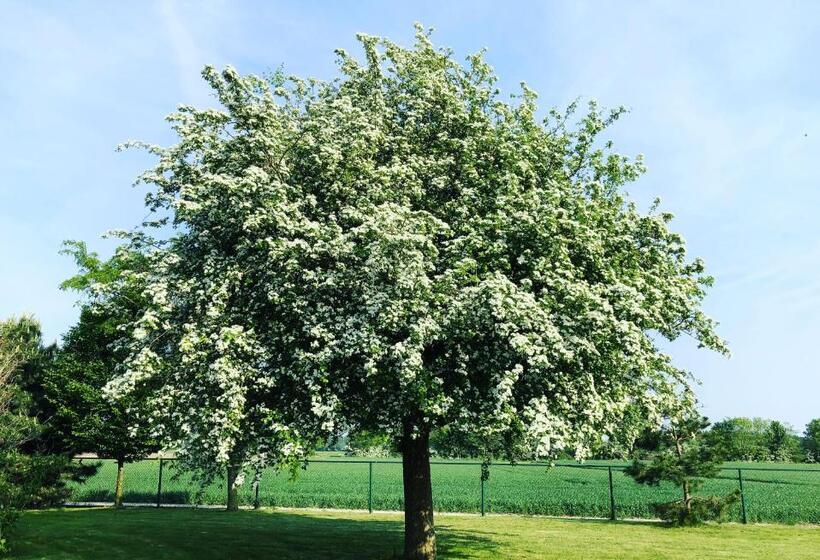 צימר Slapen Bij De Zeeuwse Lala