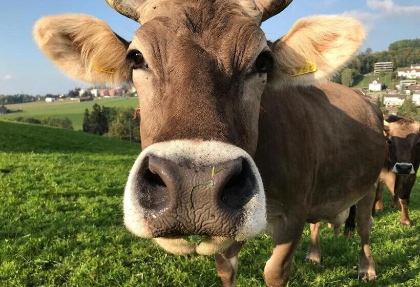 فندق Hof Dietrich