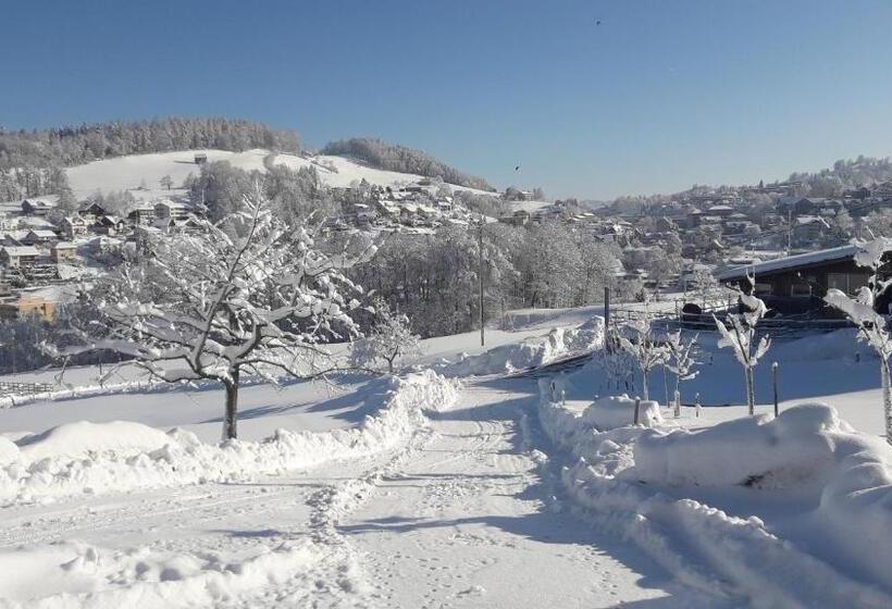 Отель Hof Dietrich