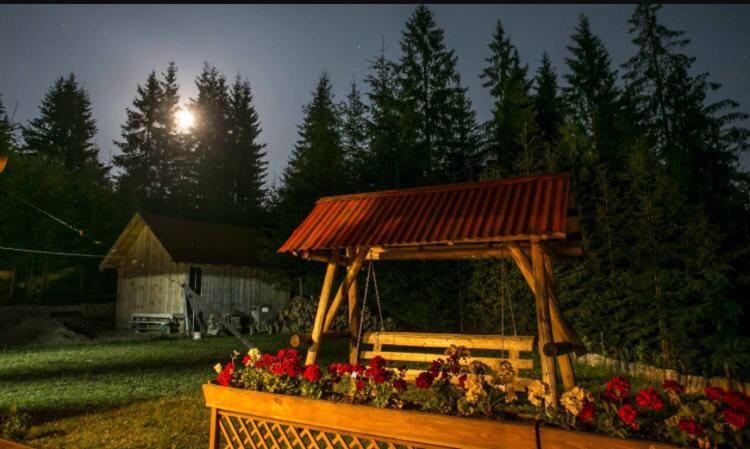 ペンション Cabana Free Land