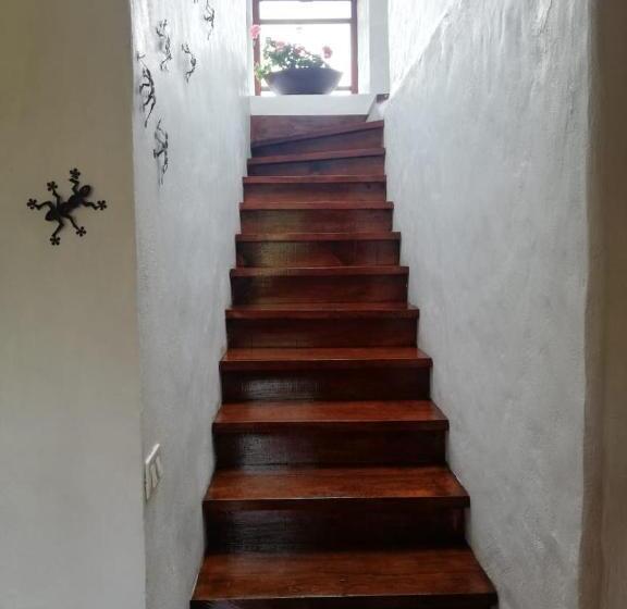 بنسيون Casa De Campo Vacacional Tres Soles En Xico, Veracruz