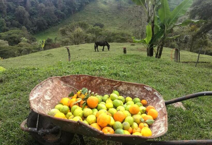 بنسيون Casa De Campo Vacacional Tres Soles En Xico, Veracruz