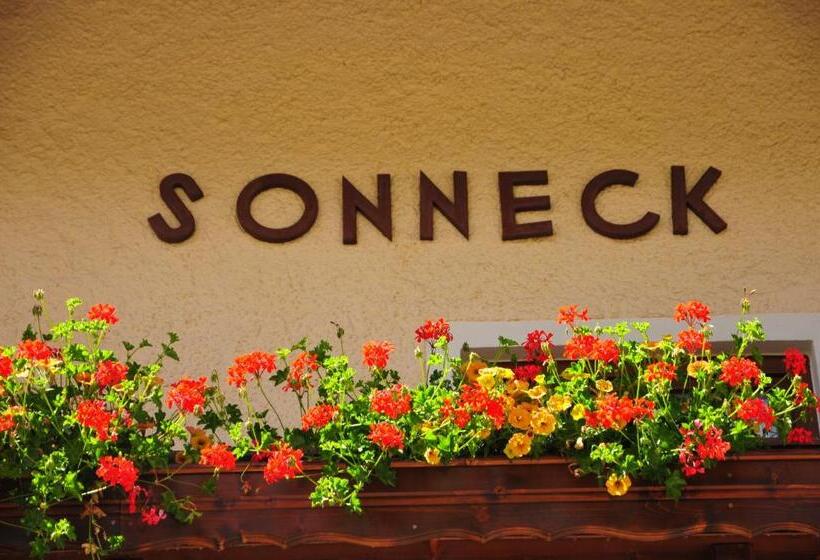 ペンション Chalet Sonneck