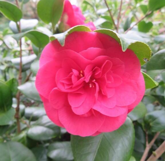 ペンション Ecrin De Verdure