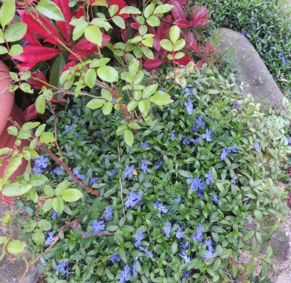 ペンション Ecrin De Verdure