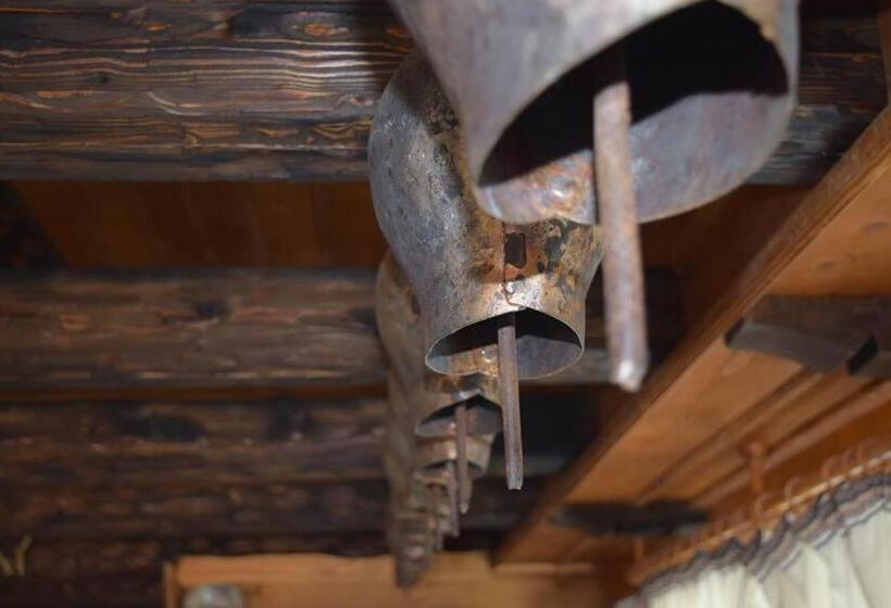 ペンション Guest Rooms Profirov