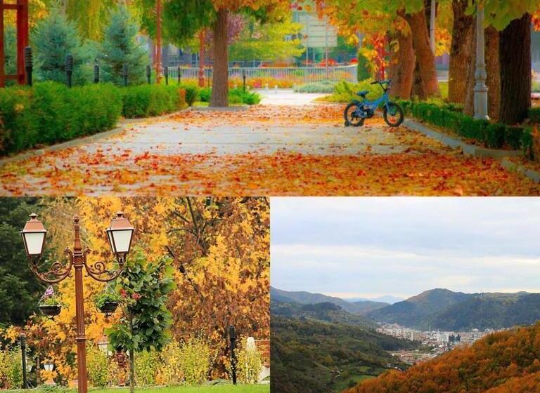 ペンション Guest Rooms Profirov