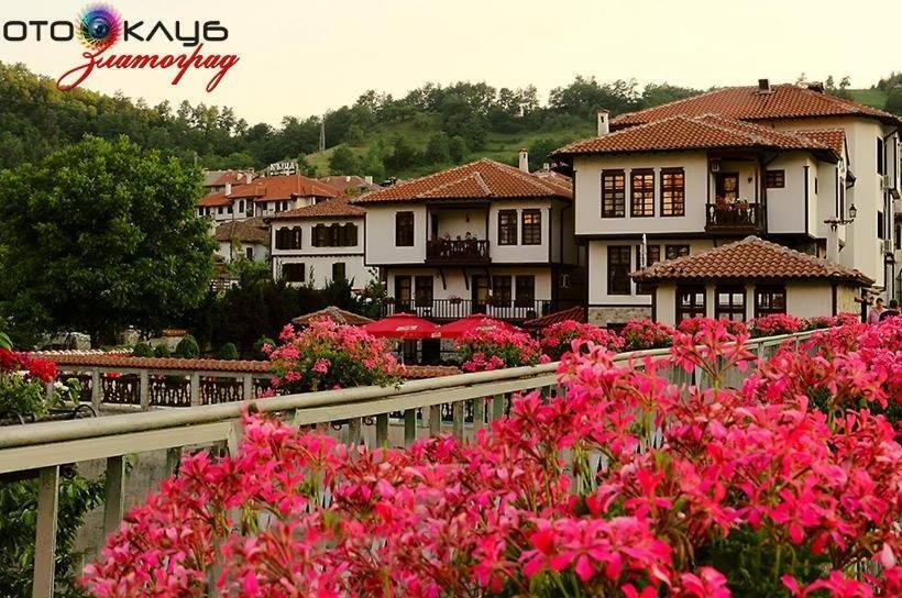 ペンション Guest Rooms Profirov