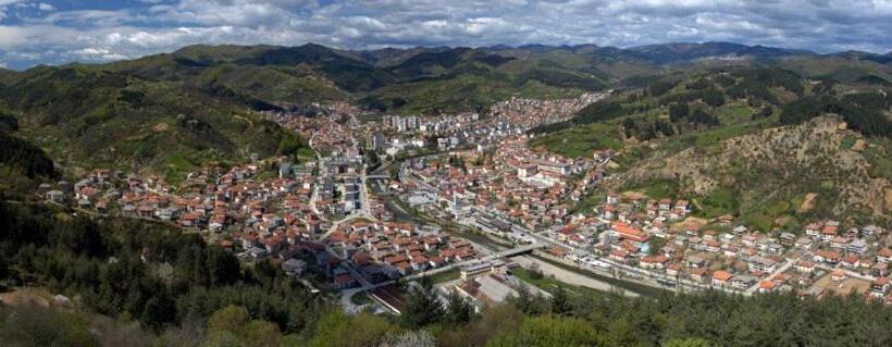 ペンション Guest Rooms Profirov