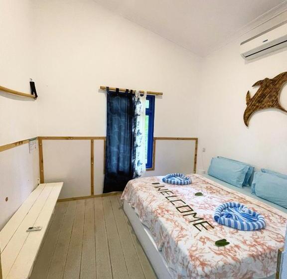 پانسیون La Due Thulusdhoo