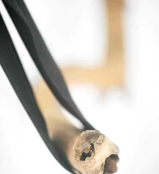 پانسیون La Due Thulusdhoo