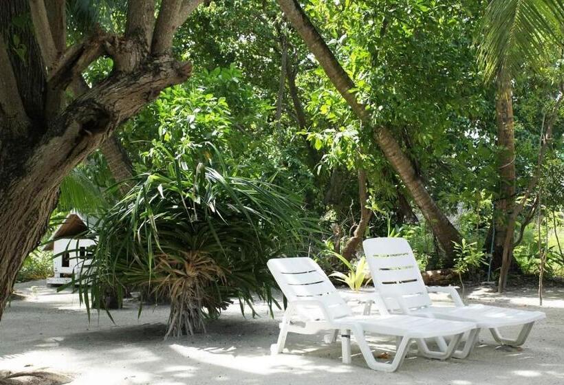 پانسیون La Due Thulusdhoo