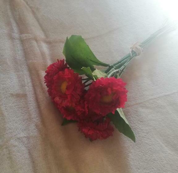 פנסיון Parfumu Di Celu