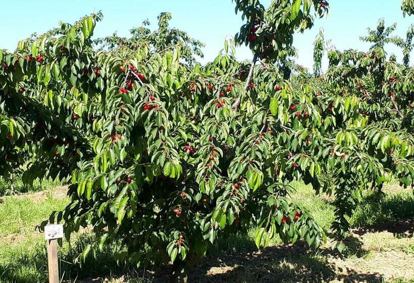 بنسيون Suite La Gioconda