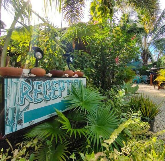 הוסטל Adrianas Place Backpackers Panglao