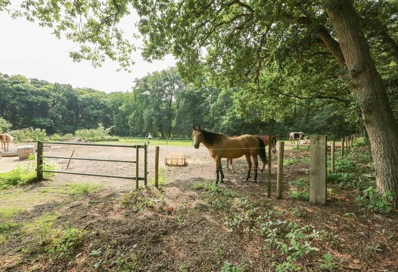 تختخواب و صبحانه Adelaerthoeve Logies & Ontbijt