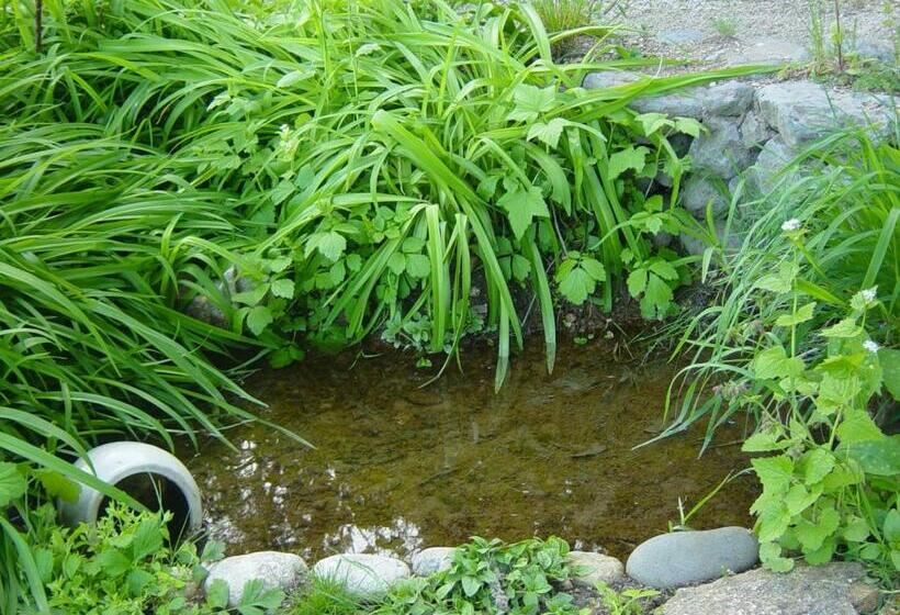 住宿加早餐 Adonis Chambres D Hotes