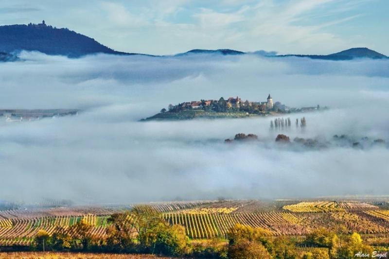 مبيت وإفطار Adrihof à Riquewihr, Cour De L Abbaye D Autrey