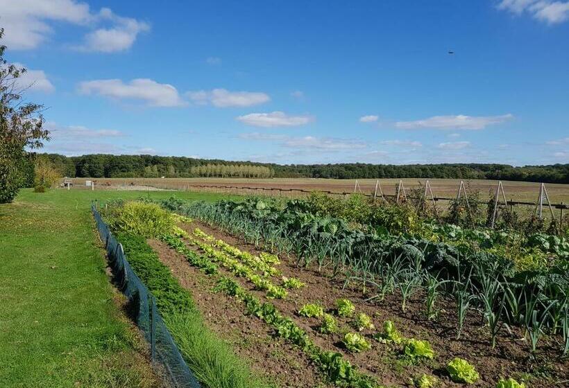 민박 Chambres Des Rosiers