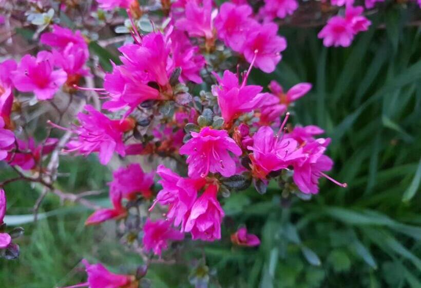 ベッドアンドブレックファースト Couloumine Breizh