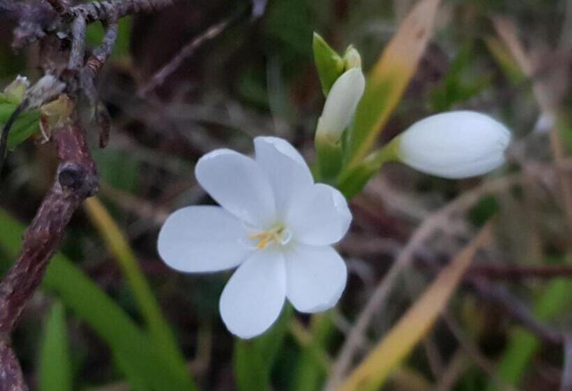 민박 Couloumine Breizh
