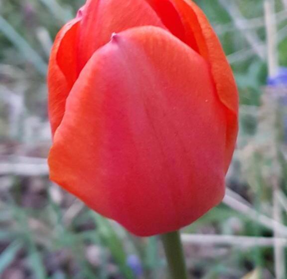 ベッドアンドブレックファースト Couloumine Breizh