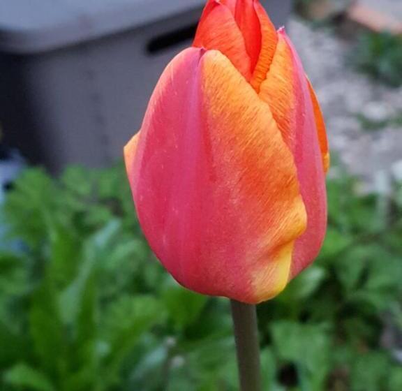 ベッドアンドブレックファースト Couloumine Breizh