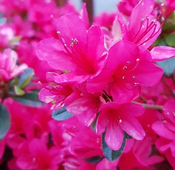 ベッドアンドブレックファースト Couloumine Breizh